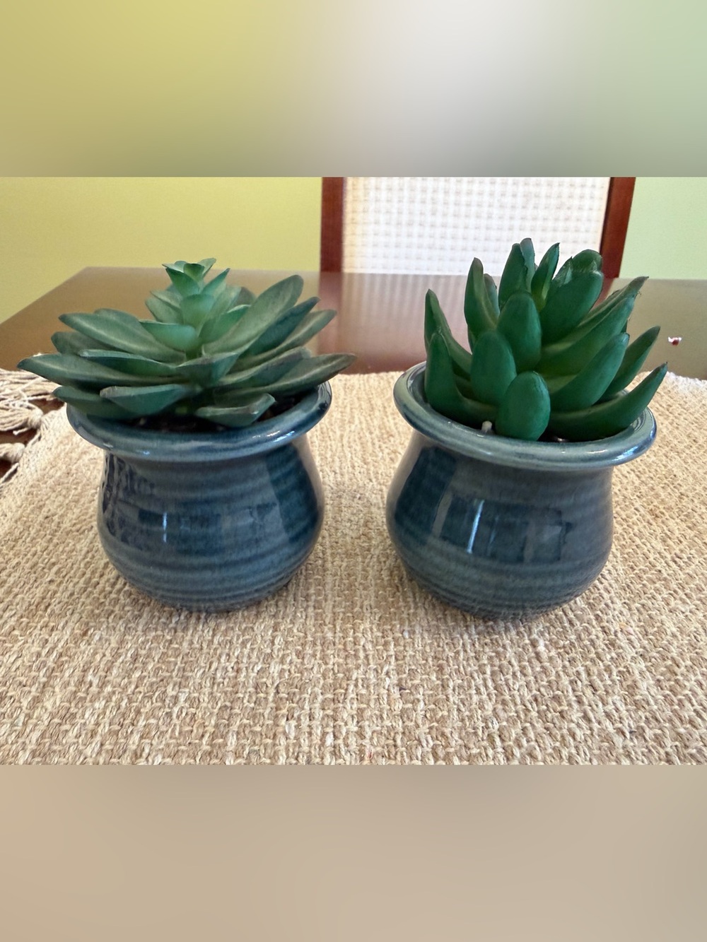 Set/2 Blue Ceramic Planters with Faux Succulents